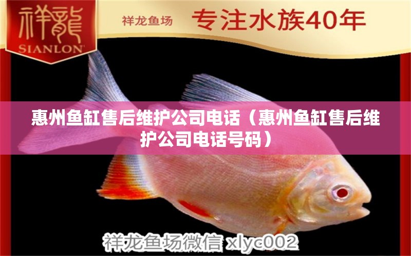 惠州魚缸售后維護(hù)公司電話（惠州魚缸售后維護(hù)公司電話號碼）