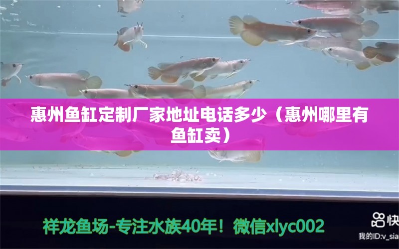 惠州魚缸定制廠家地址電話多少（惠州哪里有魚缸賣）