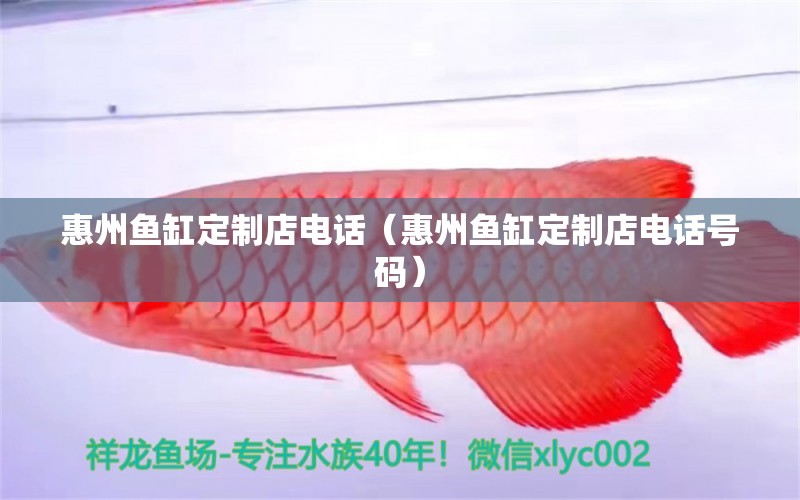 惠州魚缸定制店電話（惠州魚缸定制店電話號碼） 泰龐海鰱魚