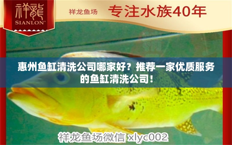 惠州魚(yú)缸清洗公司哪家好？推薦一家優(yōu)質(zhì)服務(wù)的魚(yú)缸清洗公司！