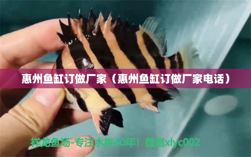 惠州魚缸訂做廠家（惠州魚缸訂做廠家電話） 廣州龍魚批發(fā)市場