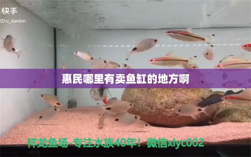 惠民哪里有賣(mài)魚(yú)缸的地方啊