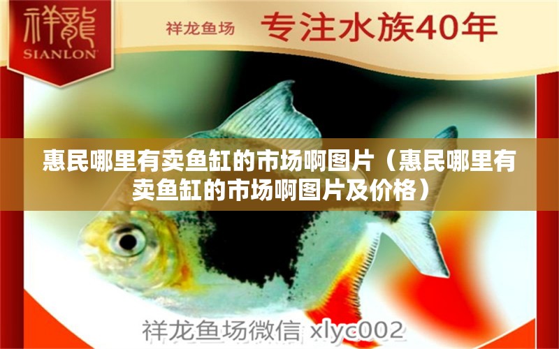 惠民哪里有賣魚缸的市場啊圖片（惠民哪里有賣魚缸的市場啊圖片及價格）