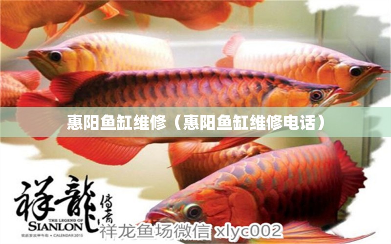 惠陽(yáng)魚缸維修（惠陽(yáng)魚缸維修電話）