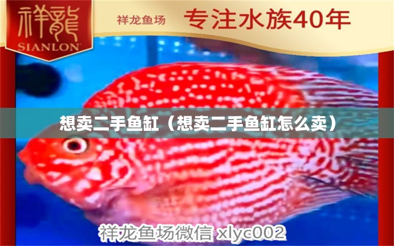 想賣二手魚缸（想賣二手魚缸怎么賣）