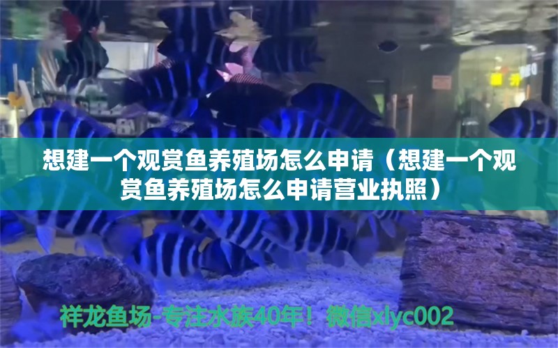 想建一個觀賞魚養(yǎng)殖場怎么申請（想建一個觀賞魚養(yǎng)殖場怎么申請營業(yè)執(zhí)照）