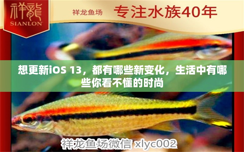 想更新iOS 13，都有哪些新變化，生活中有哪些你看不懂的時(shí)尚