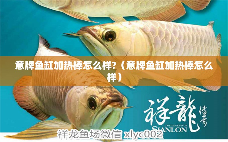 意牌魚缸加熱棒怎么樣?（意牌魚缸加熱棒怎么樣）