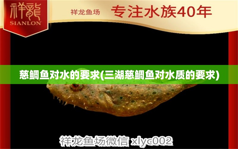 慈鯛魚對水的要求(三湖慈鯛魚對水質(zhì)的要求) 狗仔招財貓魚