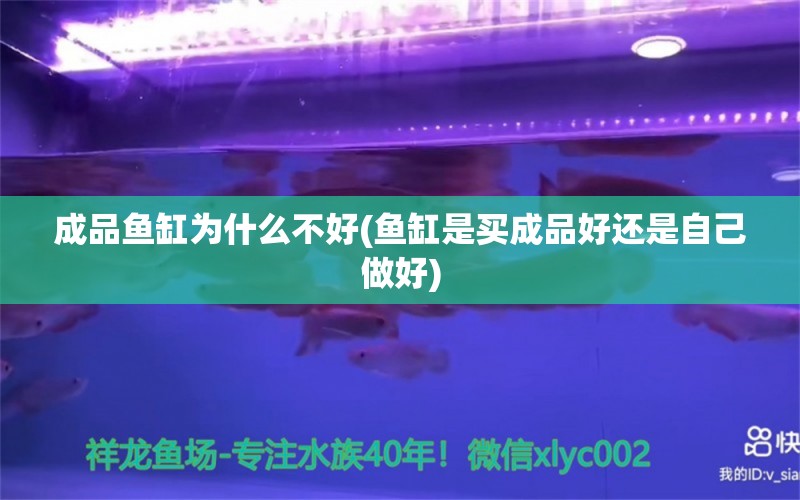 成品魚缸為什么不好(魚缸是買成品好還是自己做好) 豹紋夫魚苗