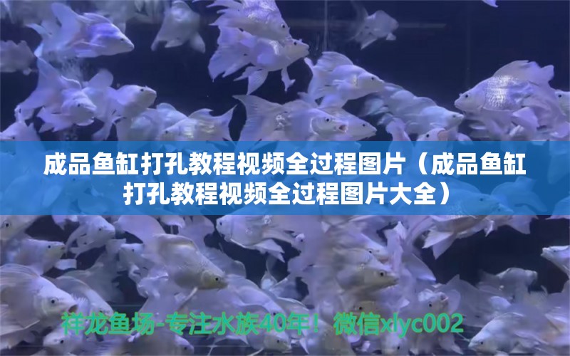 成品魚缸打孔教程視頻全過程圖片（成品魚缸打孔教程視頻全過程圖片大全）