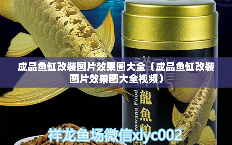 成品魚缸改裝圖片效果圖大全（成品魚缸改裝圖片效果圖大全視頻） 一眉道人魚苗