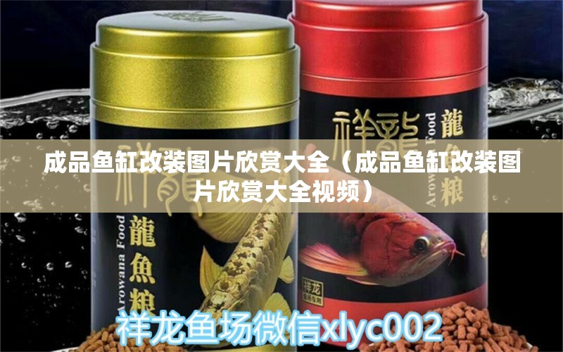 成品魚(yú)缸改裝圖片欣賞大全（成品魚(yú)缸改裝圖片欣賞大全視頻）