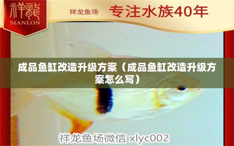 成品魚缸改造升級方案（成品魚缸改造升級方案怎么寫）