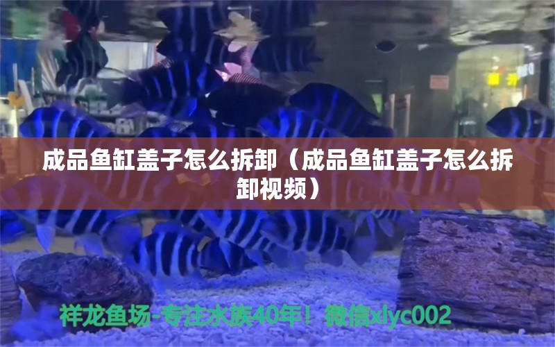 成品魚缸蓋子怎么拆卸（成品魚缸蓋子怎么拆卸視頻） 祥龍水族醫(yī)院