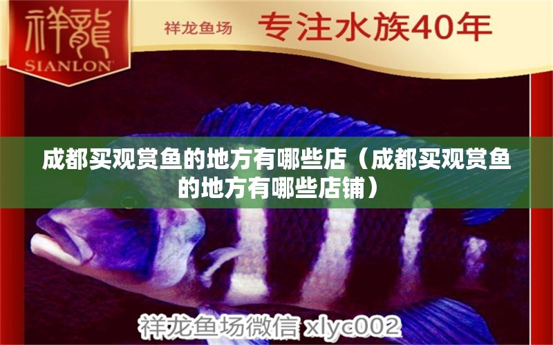 成都買觀賞魚(yú)的地方有哪些店（成都買觀賞魚(yú)的地方有哪些店鋪） 祥龍龍魚(yú)魚(yú)糧