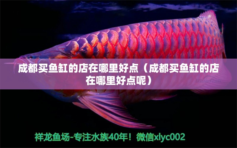 成都買(mǎi)魚(yú)缸的店在哪里好點(diǎn)（成都買(mǎi)魚(yú)缸的店在哪里好點(diǎn)呢）