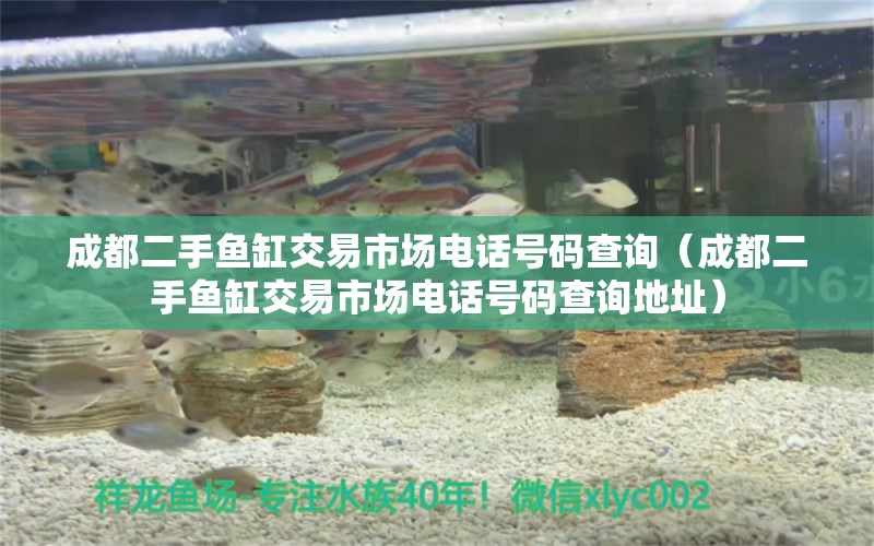 成都二手魚缸交易市場電話號碼查詢（成都二手魚缸交易市場電話號碼查詢地址）