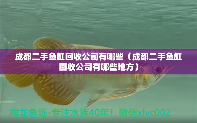 成都二手魚缸回收公司有哪些（成都二手魚缸回收公司有哪些地方）