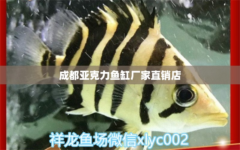 成都亞克力魚缸廠家直銷店 祥龍魚場