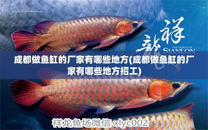 成都做魚缸的廠家有哪些地方(成都做魚缸的廠家有哪些地方招工) 飛鳳魚