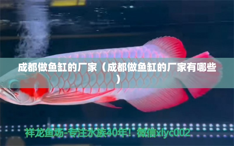 成都做魚(yú)缸的廠家（成都做魚(yú)缸的廠家有哪些） 其他品牌魚(yú)缸