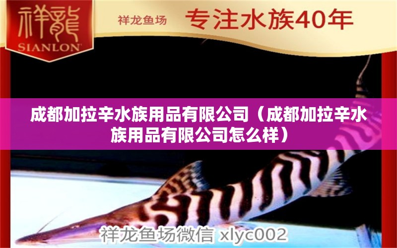 成都加拉辛水族用品有限公司（成都加拉辛水族用品有限公司怎么樣）