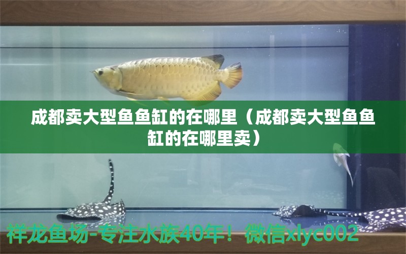 成都賣大型魚魚缸的在哪里（成都賣大型魚魚缸的在哪里賣） 其他品牌魚缸