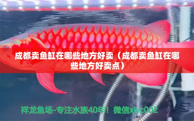 成都賣魚缸在哪些地方好賣（成都賣魚缸在哪些地方好賣點）