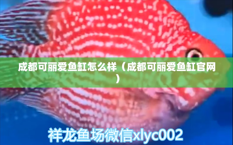 成都可麗愛魚缸怎么樣（成都可麗愛魚缸官網(wǎng)） iwish愛唯希品牌魚缸