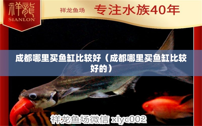 成都哪里買魚缸比較好（成都哪里買魚缸比較好的）