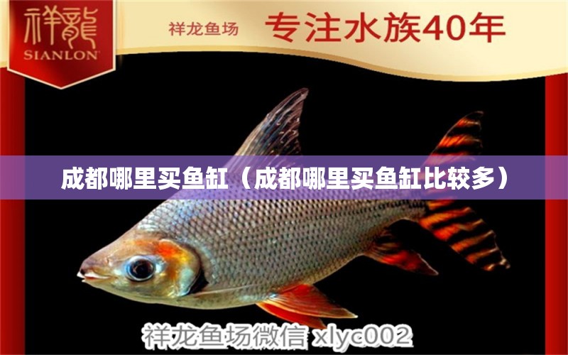 成都哪里買魚(yú)缸（成都哪里買魚(yú)缸比較多）