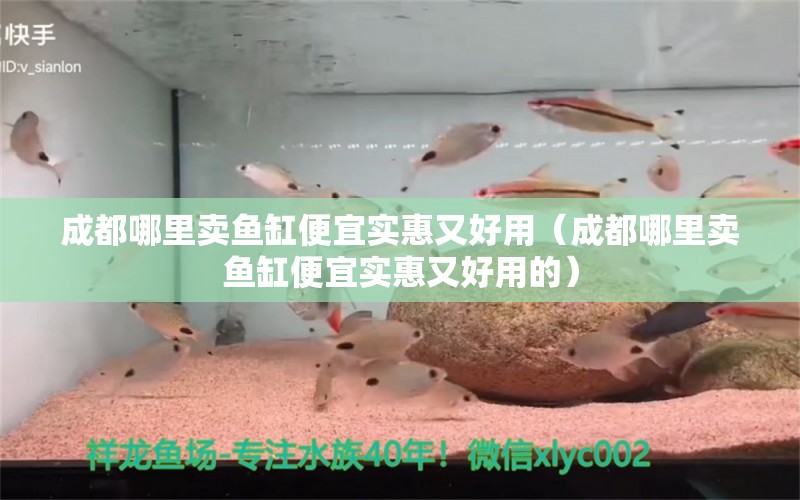 成都哪里賣(mài)魚(yú)缸便宜實(shí)惠又好用（成都哪里賣(mài)魚(yú)缸便宜實(shí)惠又好用的）