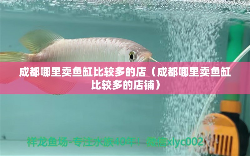 成都哪里賣魚(yú)缸比較多的店（成都哪里賣魚(yú)缸比較多的店鋪） 祥龍水族醫(yī)院