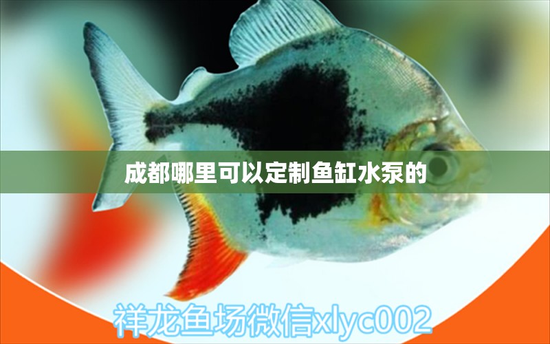 成都哪里可以定制魚(yú)缸水泵的 魚(yú)缸水泵