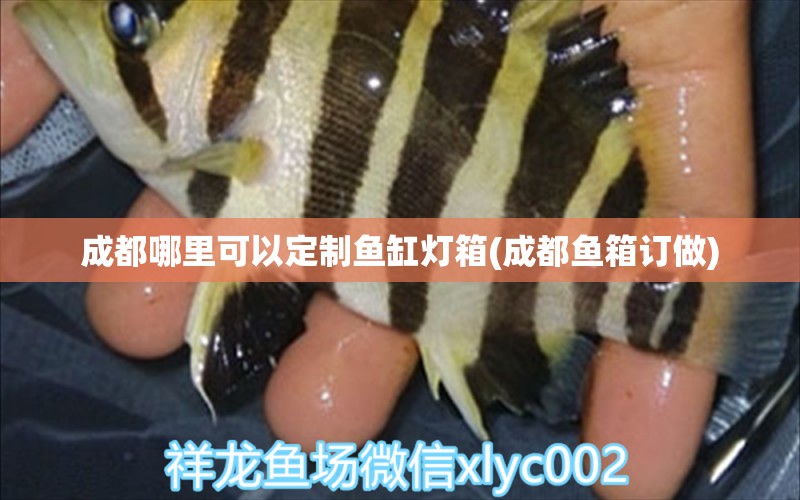 成都哪里可以定制魚缸燈箱(成都魚箱訂做)