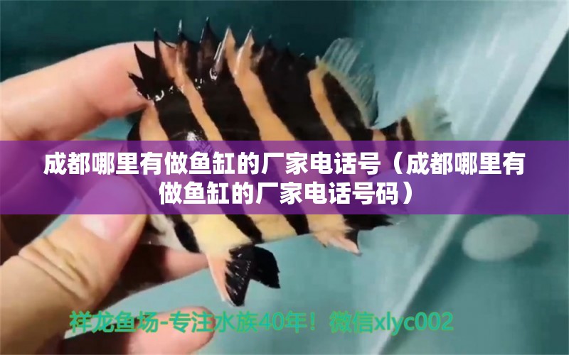 成都哪里有做魚缸的廠家電話號（成都哪里有做魚缸的廠家電話號碼）