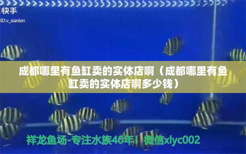 成都哪里有魚缸賣的實(shí)體店?。ǔ啥寄睦镉恤~缸賣的實(shí)體店啊多少錢）