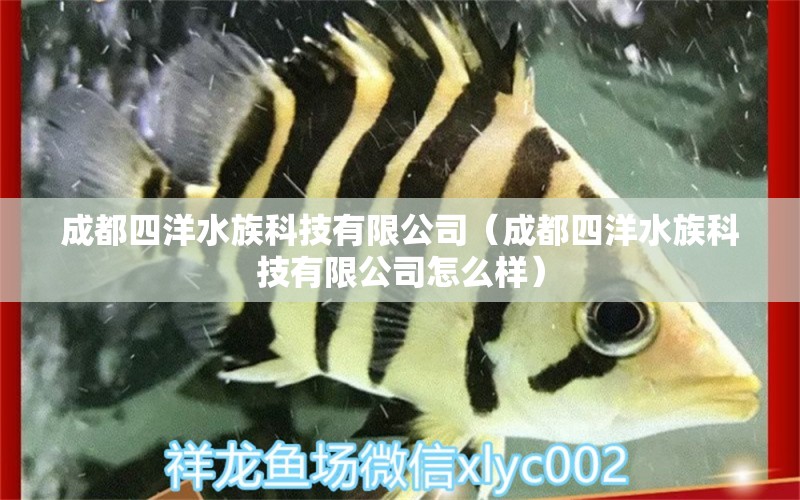 成都四洋水族科技有限公司（成都四洋水族科技有限公司怎么樣）