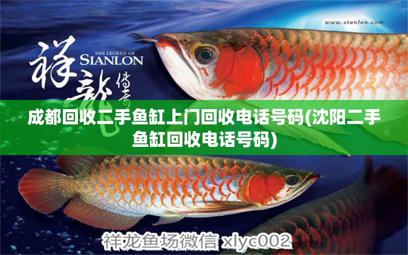 成都回收二手魚缸上門回收電話號碼(沈陽二手魚缸回收電話號碼) 黑桃A魚