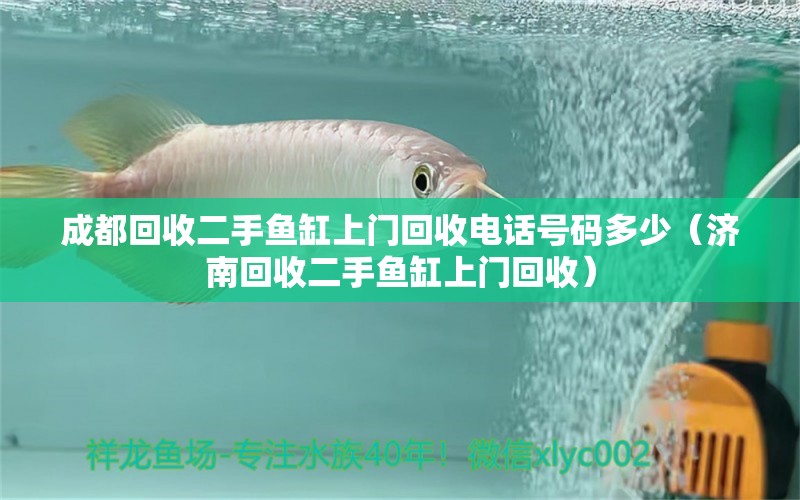 成都回收二手魚缸上門回收電話號碼多少（濟(jì)南回收二手魚缸上門回收） 蝴蝶鯉