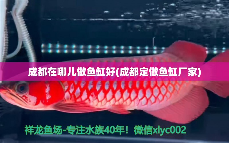 成都在哪兒做魚缸好(成都定做魚缸廠家) 金三間魚