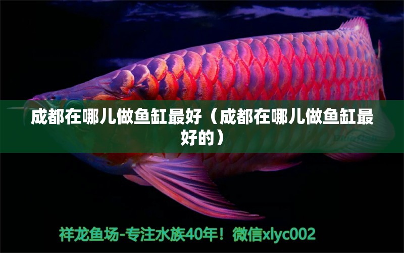 成都在哪兒做魚缸最好（成都在哪兒做魚缸最好的） 其他品牌魚缸