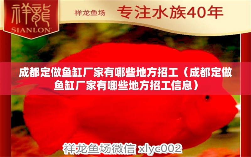 成都定做魚缸廠家有哪些地方招工（成都定做魚缸廠家有哪些地方招工信息） 祥龍水族醫(yī)院