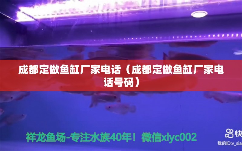 成都定做魚缸廠家電話（成都定做魚缸廠家電話號碼） 其他品牌魚缸