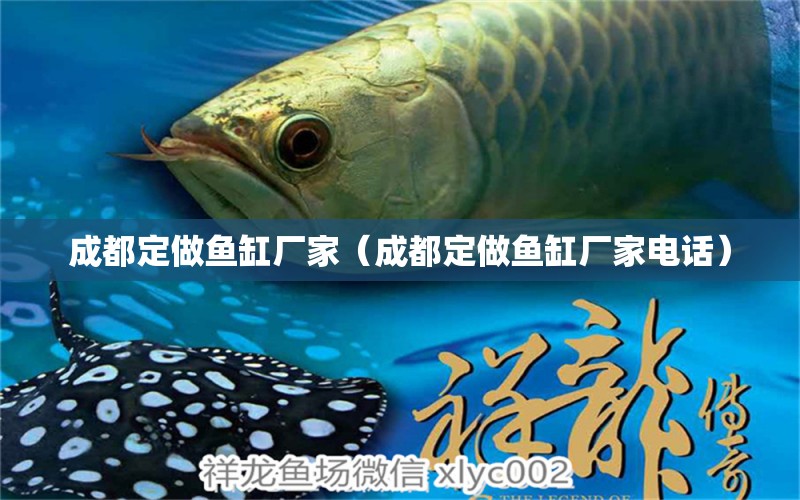 成都定做魚缸廠家（成都定做魚缸廠家電話） 其他品牌魚缸