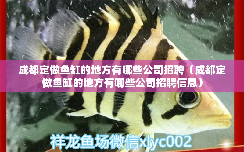 成都定做魚缸的地方有哪些公司招聘（成都定做魚缸的地方有哪些公司招聘信息） 量子養(yǎng)魚技術(shù)