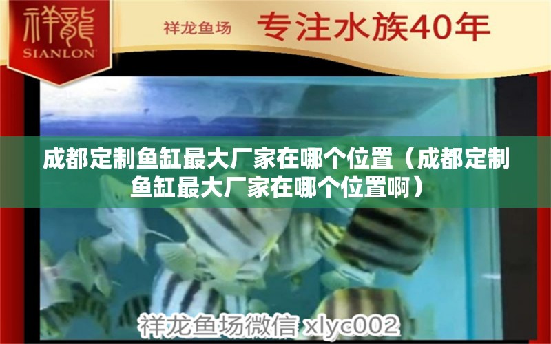 成都定制魚缸最大廠家在哪個(gè)位置（成都定制魚缸最大廠家在哪個(gè)位置?。?觀賞魚市場(chǎng)（混養(yǎng)魚）