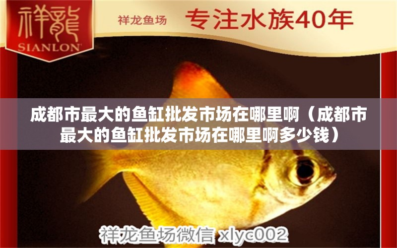 成都市最大的魚缸批發(fā)市場在哪里?。ǔ啥际凶畲蟮聂~缸批發(fā)市場在哪里啊多少錢） 祥龍水族醫(yī)院