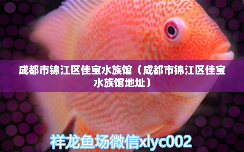 成都市錦江區(qū)佳寶水族館（成都市錦江區(qū)佳寶水族館地址）